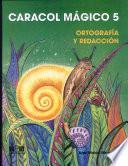 Caracol M├ígico 5