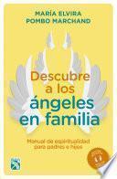 Descubre a los ángeles en familia + Cartas