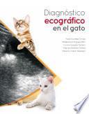 Diagnóstico ecográfico en el gato