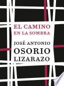 El camino en la sombra