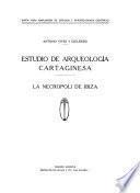 Estudio de arqueología cartaginesa