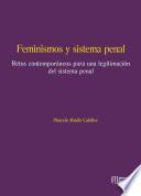 Feminismos y sistema penal.