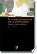 La cooperación internacional con los pueblos indígenas