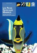 Los peces tropicales marinos