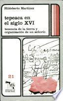 Tepeaca en el siglo XVI